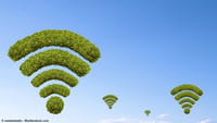 Plus testuje darmowe połączenia z WiFi Calling